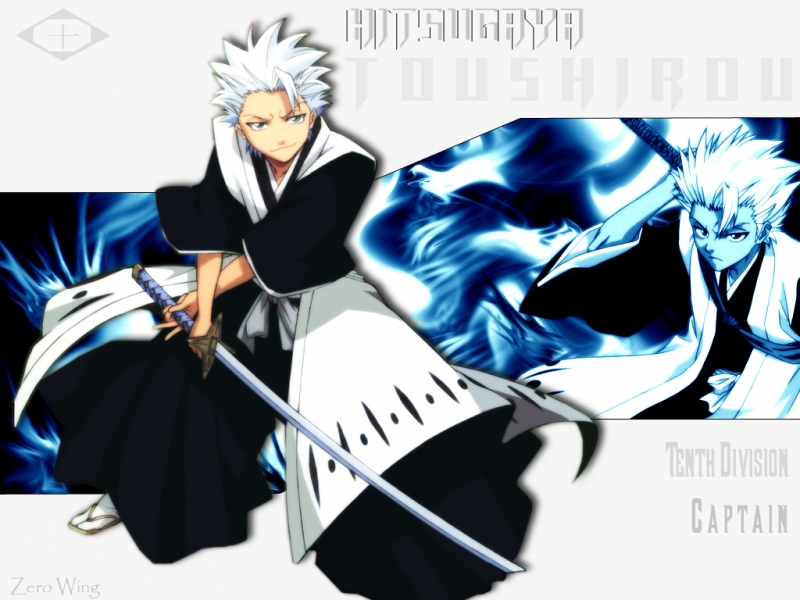 toushirou-captain.jpg